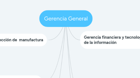 Mind Map: Gerencia General