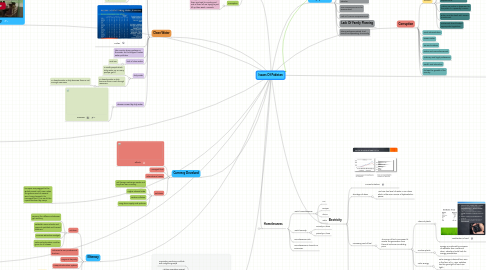Mind Map: Issues Of Pakistan
