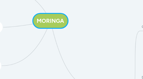 Mind Map: MORINGA