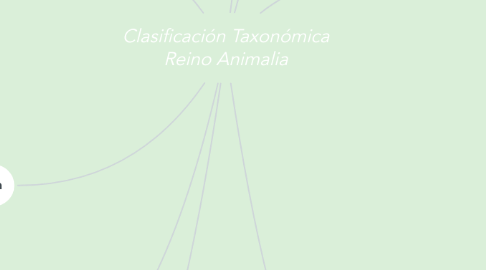 Mind Map: Clasificación Taxonómica Reino Animalia