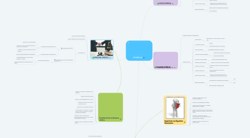 Mind Map: EMPRESA