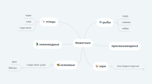 Mind Map: Животные