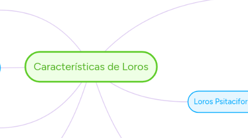 Mind Map: Características de Loros