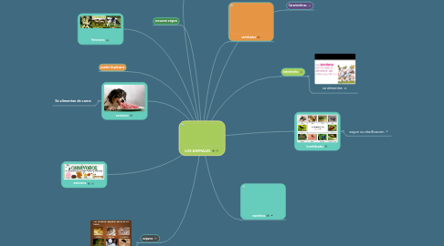 Mind Map: LOS ANIMALES