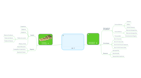 Mind Map: .