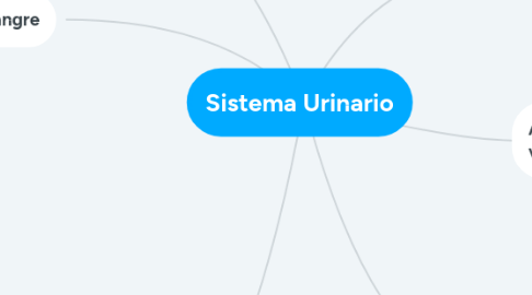 Mind Map: Sistema Urinario