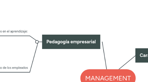 Mind Map: MANAGEMENT