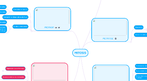 Mind Map: MITOSIS