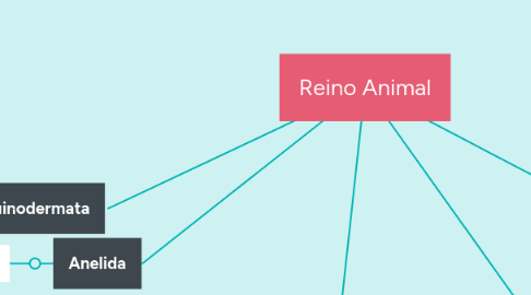 Mind Map: Reino Animal