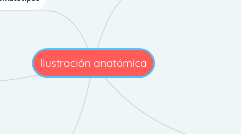 Mind Map: Ilustración anatómica