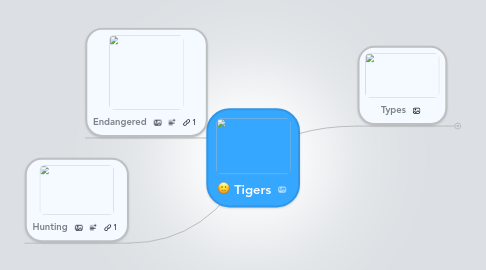Mind Map: Tigers