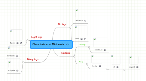 Mind Map: Characteristics of Minibeasts