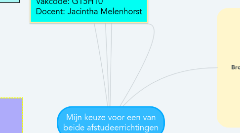 Mind Map: Mijn keuze voor een van beide afstudeerrichtingen