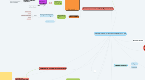 Mind Map: PRINCIPALES MECANISMOS DE REPARACIÓN EN EL ADN