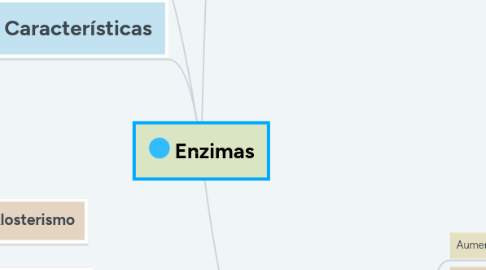 Mind Map: Enzimas