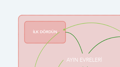 Mind Map: AYIN EVRELERİ