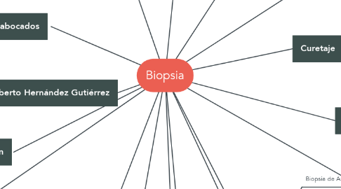 Mind Map: Biopsia