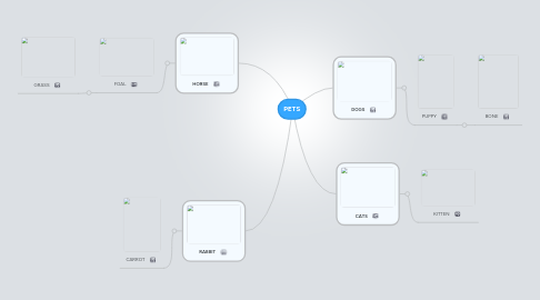 Mind Map: PETS