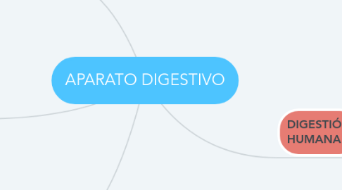 Mind Map: APARATO DIGESTIVO