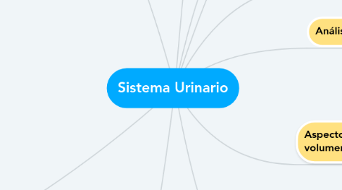 Mind Map: Sistema Urinario