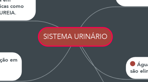 Mind Map: SISTEMA URINÁRIO