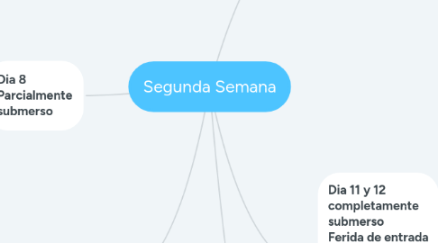 Mind Map: Segunda Semana