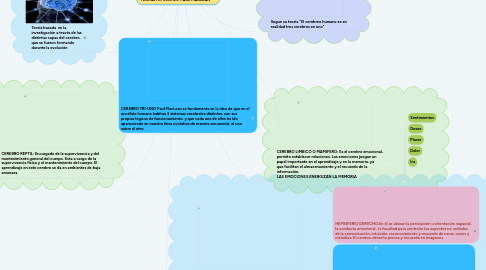 Mind Map: ¿COMO APRENDE NUESTRO CEREBRO? TEORIA TRI-UNO DR: PAUL MACLEAN