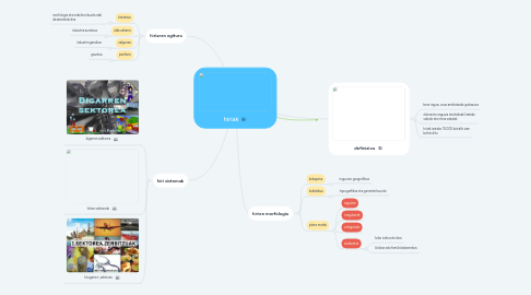 Mind Map: hiriak