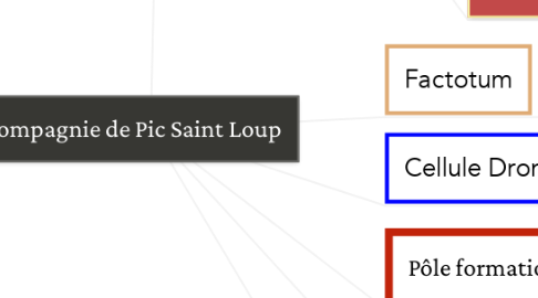 Mind Map: Compagnie de Pic Saint Loup