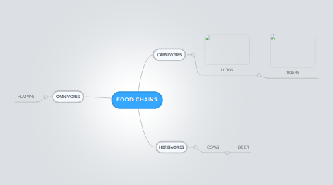 Mind Map: FOOD CHAINS