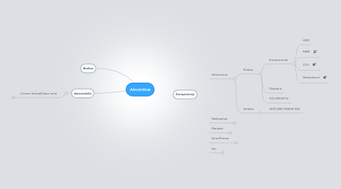 Mind Map: Atmintinė