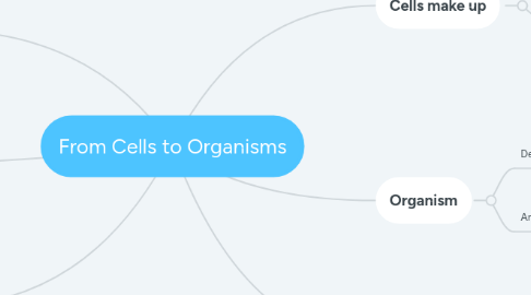 Mind Map: From Cells to Organisms