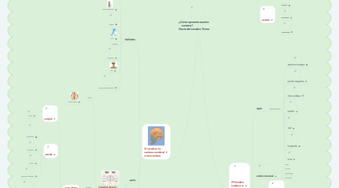 Mind Map: ¿Cómo aprende nuestro cerebro? Teoría del cerebro Triuno