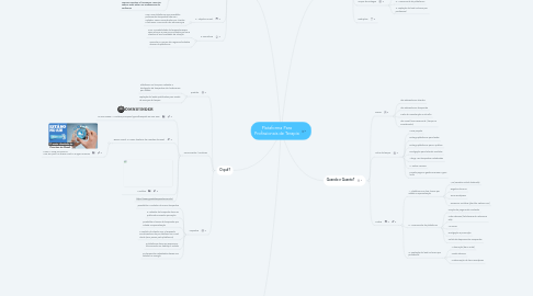 Mind Map: Plataforma Para Profissionais de Terapia