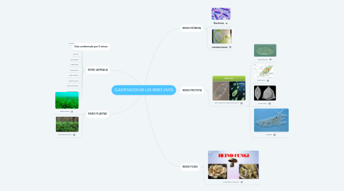 Mind Map: CLASIFICACION DE LOS SERES VIVOS