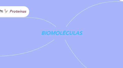 Mind Map: BIOMOLÉCULAS