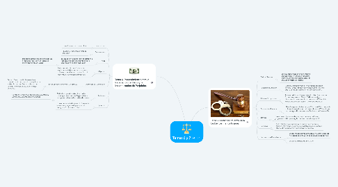 Mind Map: Temas 6 y 7