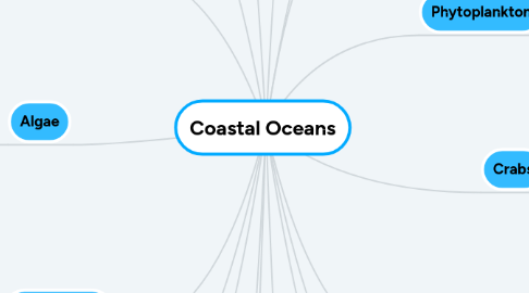 Mind Map: Coastal Oceans