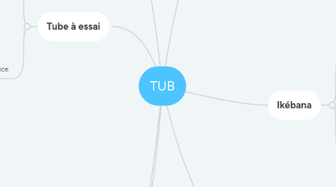 Mind Map: TUB