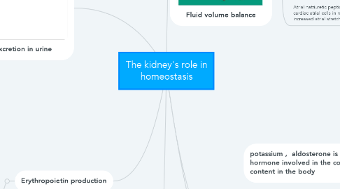 Mind Map: The kidney's role in homeostasis