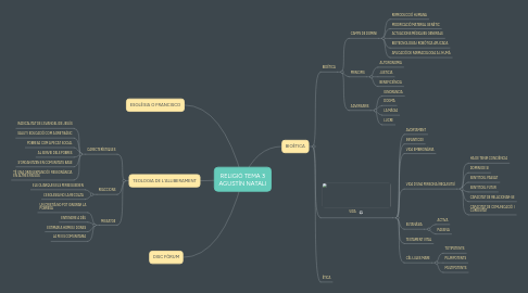 Mind Map: RELIGIÓ TEMA 3 AGUSTÍN NATALI