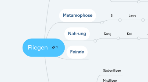 Mind Map: Fliegen