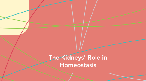 Mind Map: The Kidneys' Role in Homeostasis