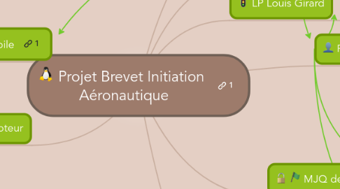 Mind Map: Projet Brevet Initiation Aéronautique