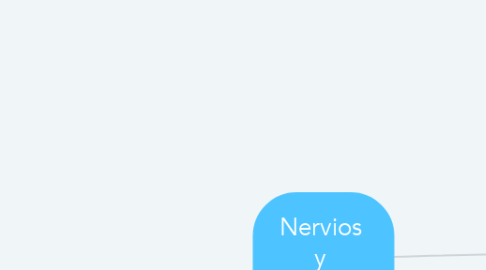 Mind Map: Nervios  y  Músculos