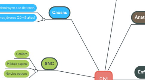 Mind Map: EM