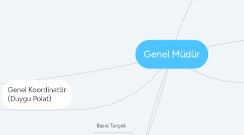 Mind Map: Genel Müdür