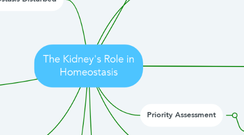Mind Map: The Kidney's Role in Homeostasis