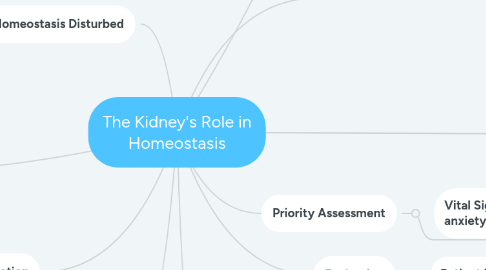 Mind Map: The Kidney's Role in Homeostasis