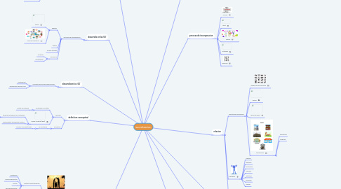 Mind Map: socializacion